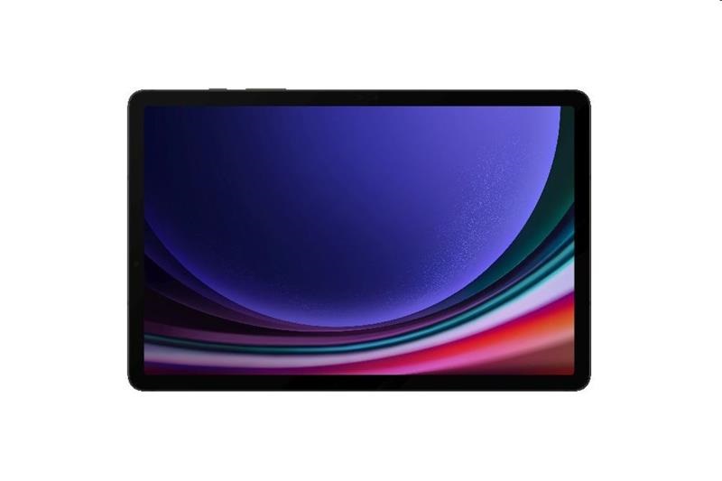 Samsung Galaxy Tab S9/SM-X716/5G/11"/2560x1600/8GB/128GB/Graphite SM-X716BZAAEUE