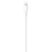 Apple Adaptér Lightning – USB-C kabel 1m MM0A3ZM/A