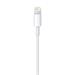 Apple - Kabel Lightning - Lightning (M) do USB (M) - 2 m - pro Apple iPad/iPhone/iPod (Lightning) MD819ZM/A