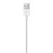 Apple - Kabel Lightning - Lightning (M) do USB (M) - 2 m - pro Apple iPad/iPhone/iPod (Lightning) MD819ZM/A