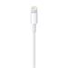 Apple - Kabel Lightning - Lightning (M) do USB (M) - 50 cm - pro Apple iPad/iPhone/iPod (Lightning) ME291ZM/A