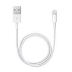 Apple - Kabel Lightning - Lightning (M) do USB (M) - 50 cm - pro Apple iPad/iPhone/iPod (Lightning) ME291ZM/A