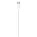 Apple USB-C to Lightning Cable - Kabel Lightning - Lightning (M) do USB-C (M) - 2 m - pro Apple iPa MKQ42ZM/A