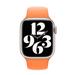 Apple Watch 41mm Bright Orange Sport Band MR2N3ZM/A