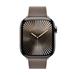 Apple Watch 42mm Dark Taupe Modern Buckle - Large MXW53ZM/A