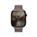 Apple Watch 42mm Dark Taupe Modern Buckle - Large MXW53ZM/A