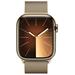 Apple Watch Series 9 GPS + Cellular 41mm Gold Stainless Steel Case with Gold Milanese Loop MRJ73QC/A