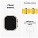 Apple Watch Ultra GPS + Cellular, 49mm Titanium Case with Yellow Ocean Band mnhg3cs/a