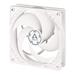 ARCTIC P12 PWM PST (white/white) ACFAN00170A