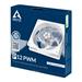 ARCTIC P12 PWM (white/trasparent) ACFAN00131A