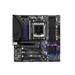 ASROCK MB B650M PG RIPTIDE (AM5, amd B650, 4xDDR5, PCIE 5.0, HDMI+DPort, 4xSATA3 +2xM.2, USB3.2 G2, GLAN 2,5G, mATX)