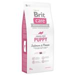 Brit Care gf Puppy Salmon & Potato 12kg 8595602510047