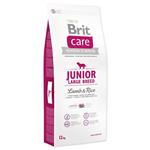 Brit Care Junior Large Lamb & Rice 12kg 8595602509836