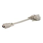 C2G Economy - VGA splitter - HD-15 (VGA) (M) do HD-15 (VGA) (F) 81173