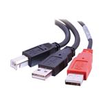 C2G "Y" Cable - Kabel USB - USB typ B (M) do USB, USB (pouze napájení) (M) - USB 2.0 - lisovaný 81578