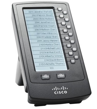 Cisco SPA500DS-RF