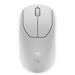 Dell Alienware Pro Wireless Gaming Mouse (Lunar Light) PRO-MS-W-DEAM