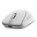 Dell Alienware Pro Wireless Gaming Mouse (Lunar Light) PRO-MS-W-DEAM