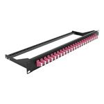 DELOCK, 193 Fibre Patch Panel 24 port LC Duplex 43390