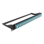 DELOCK, 193 Fibre Patch Panel 24 port LC Quad aq 43401