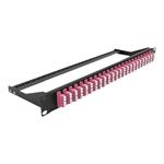 DELOCK, 193 Fibre Patch Panel 24 port LC Quad vi 43403