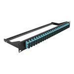 DELOCK, 193 Fibre Patch Panel 24 port SC Duplex 43395