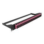 DELOCK, 193 Fibre Patch Panel 24 port SC Duplex 43396