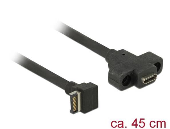 Delock Kabel USB 3.1 Gen 2 key A 20 pin samec > USB 3.1 Gen 2 USB Type-C™ samice montáž na panel 45 cm 85326