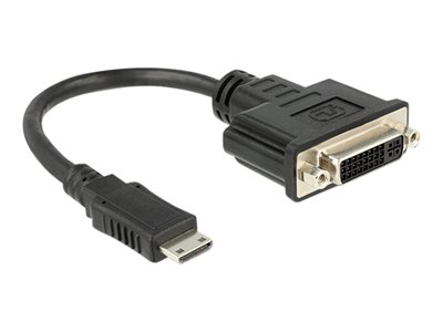 DeLOCK - Video adaptér - HDMI / DVI - mini HDMI (M) do DVI-I (F) - 20 cm - černá 65564