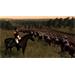 ESD Napoleon Total War Collection 2179