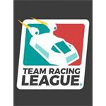 ESD Team Racing League 6277