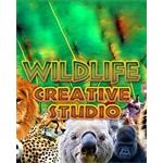 ESD Wildlife Creative Studio 6904