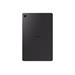 GalaxyTab S6 Lite 2024 LTE Gray, Samsung GalaxyTab S6 Lite 2024 SM-P625 LTE, Gray SM-P625NZAAEUE