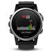 GARMIN GPS chytré hodinky fenix5S Sapphire Gray Optic, Black band 010-01685-11