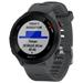 GARMIN GPS sportovní hodinky Forerunner 55 Grey 010-02562-13