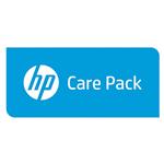 HP Next Day Exchange Hardware Support - Prodloužená dohoda o službách - výměna - 3 let - pro HP t24 U4847E