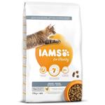 Iams Cat Adult Indoor Chicken 10Kg 8710255150451