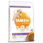 Iams Dog Puppy Large Chicken 12Kg 8710255128320