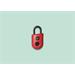 Igloohome Padlock Lite - chytrý visací zámek, otisk prstu, červená 0765855085458