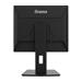 iiyama ProLite B1980D-B5 - LED monitor - 19" - 1280 x 1024 @ 60 Hz - TN - 250 cd/m2 - 1000:1 - 5 ms