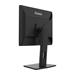 iiyama ProLite B1980D-B5 - LED monitor - 19" - 1280 x 1024 @ 60 Hz - TN - 250 cd/m2 - 1000:1 - 5 ms