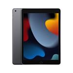 iPad Wi-Fi 256GB Space Gray (2021) MK2N3FD/A