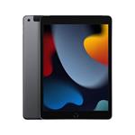 iPad Wi-Fi + Cellular 256GB Space Gray (2021) MK4E3FD/A