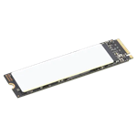 Lenovo 1TB Performance PCIe Gen4 NVMe OPAL2 M.2 2280 SSD 4XB1M86955