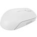 LENOVO 300 Wireless Compact Mouse GY51L15677