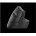 Logitech Wireless Mouse Lift for Business, graphite / black 910-006494