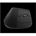 Logitech Wireless Mouse Lift for Business, graphite / black 910-006494