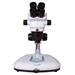 Mikroskop Levenhuk ZOOM 1B Binocular 0753215775224