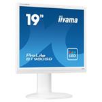 Monitor iiyama LCD 19" ProLite B1980SD-W1