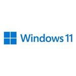 MS Windows 11 Professional FPP 64-bit Slovak USB HAV-00161